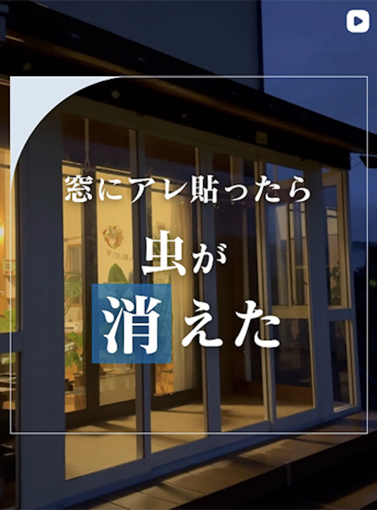 窓に集まる虫、ちょっとした工夫でグッと減ります【オーダーガラス板.com】