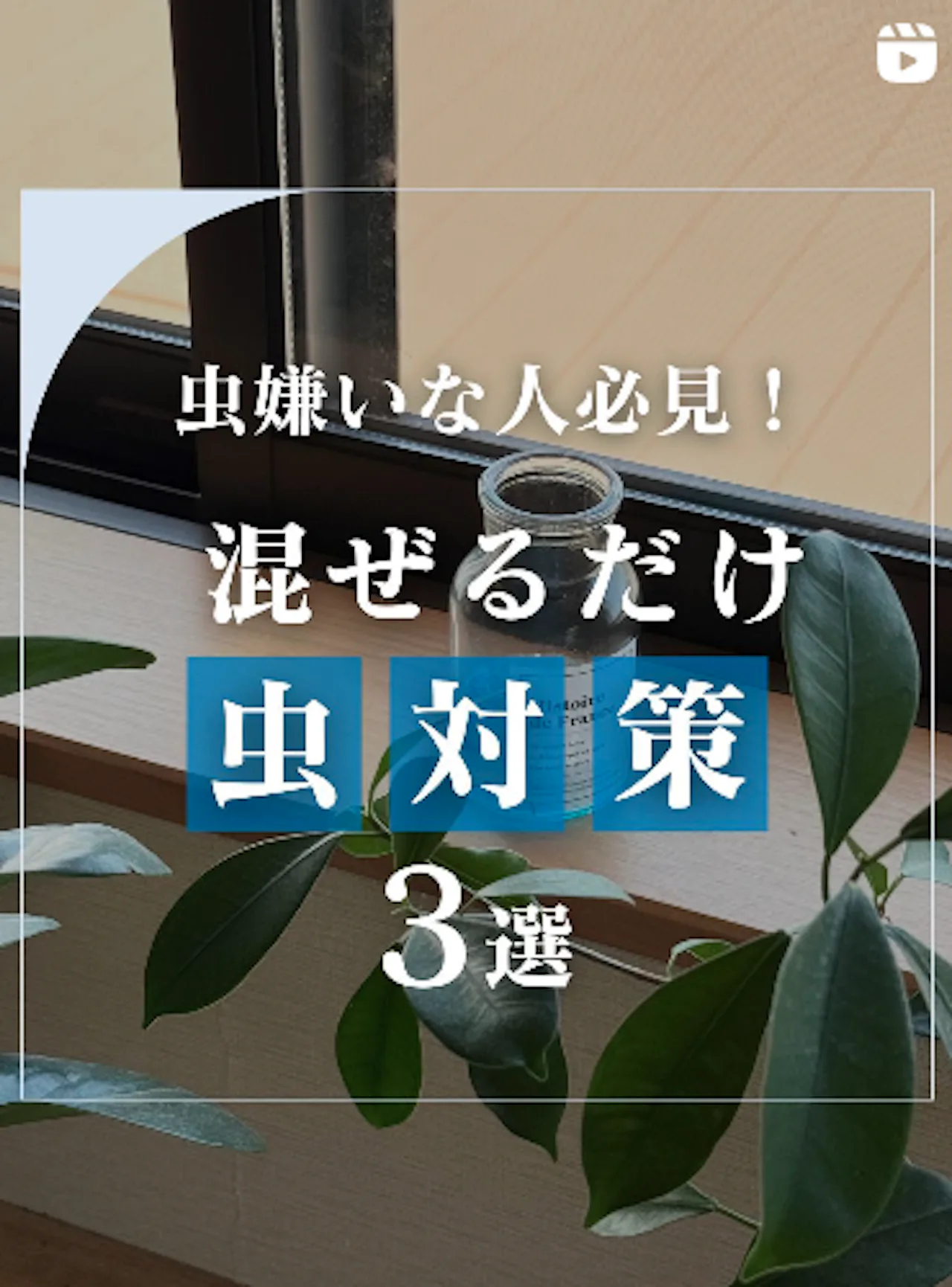 家に虫が出なくなる！超簡単な「虫対策3選」をご紹介！【オーダーガラス板.com】