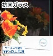 抗菌ガラス(ウイルスクリーン)は菌やウイルスを99パーセント以上抑制できる