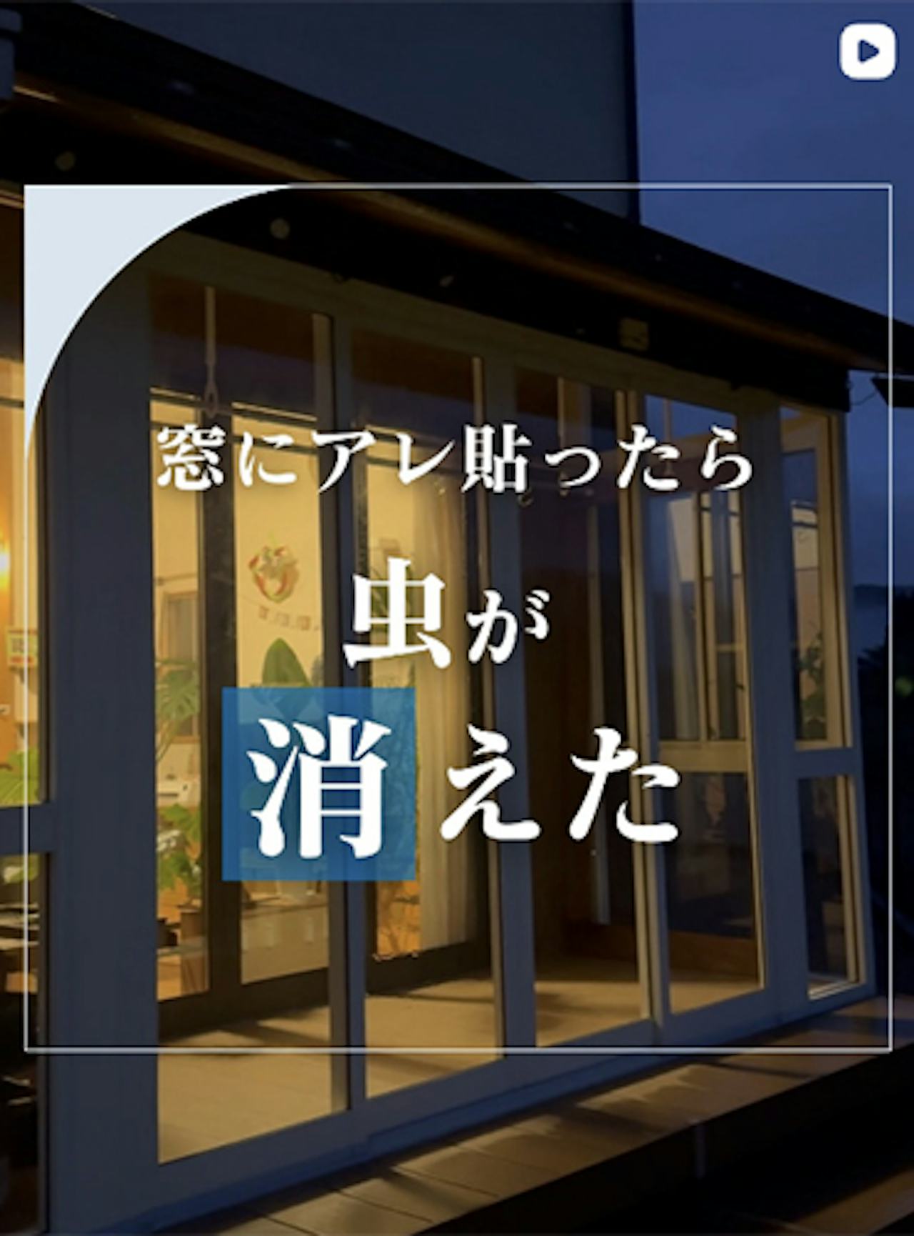 窓に集まる虫、ちょっとした工夫でグッと減ります【オーダーガラス板.com】