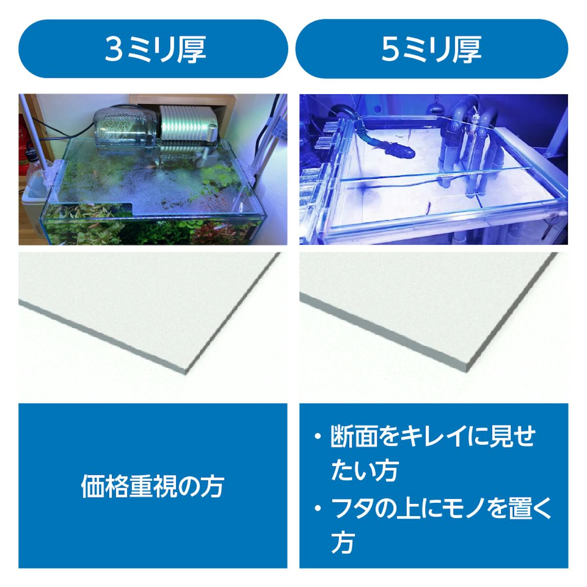 固定もできる水槽の蓋用ガラスは、断面が綺麗で上に物を置ける5ミリ厚と安価な3ミリ厚の2種類