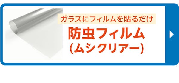 ＼ガラス・鏡の最新情報を動画でチェック！／公式Instagramで注目の投稿をご紹介