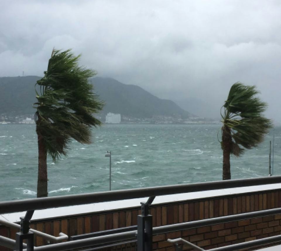 台風・地震に強い窓ガラス】災害対策／おすすめ商品の販売｜オーダー