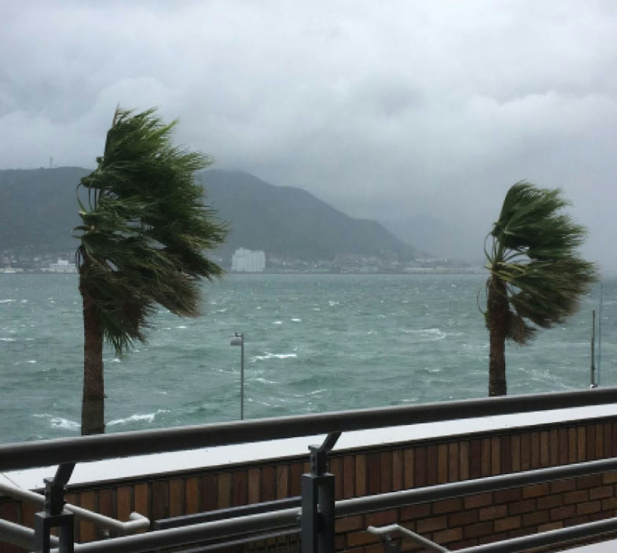 地震や台風に強い窓ガラスで地震・台風対策