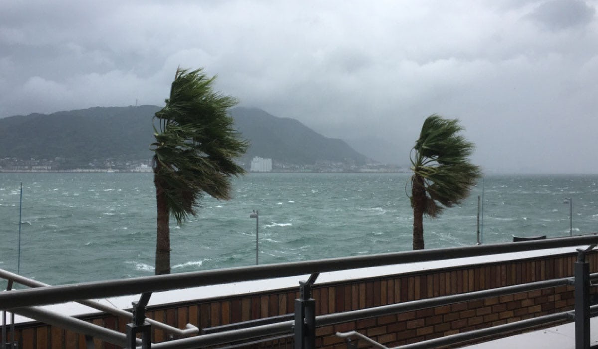 窓ガラスの台風・地震対策