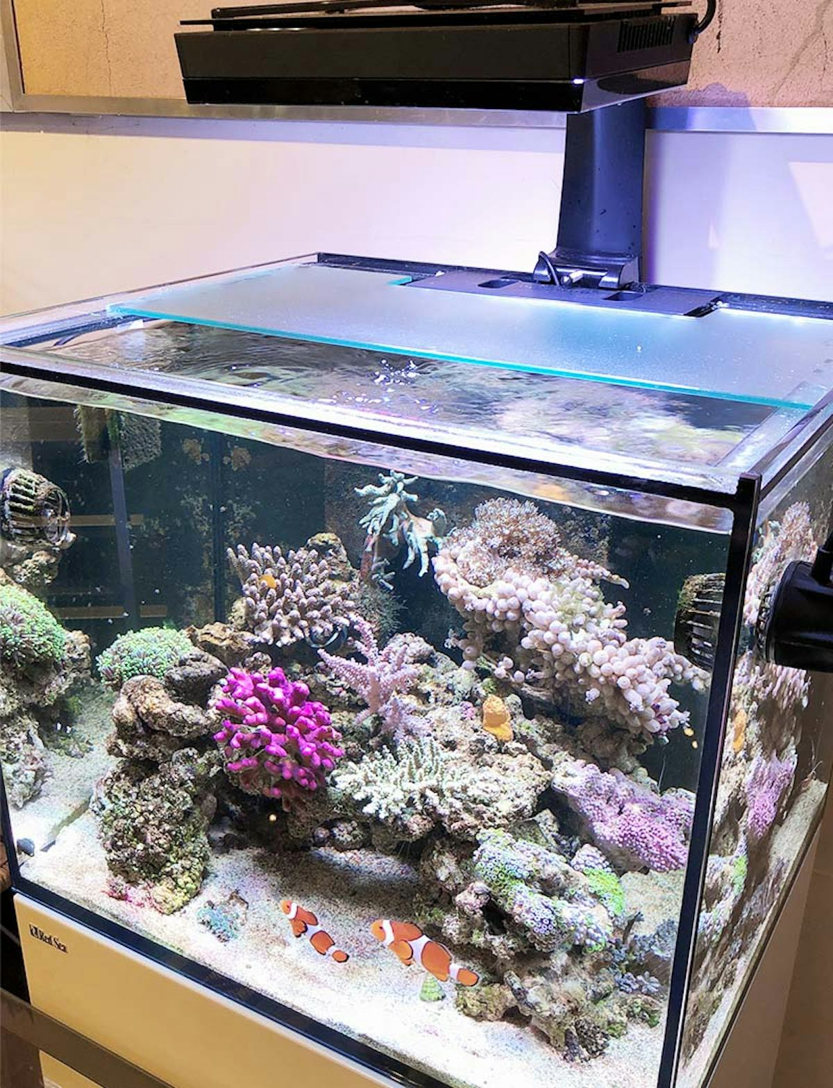 水槽の蓋にフロストガラスを設置/K様(2)