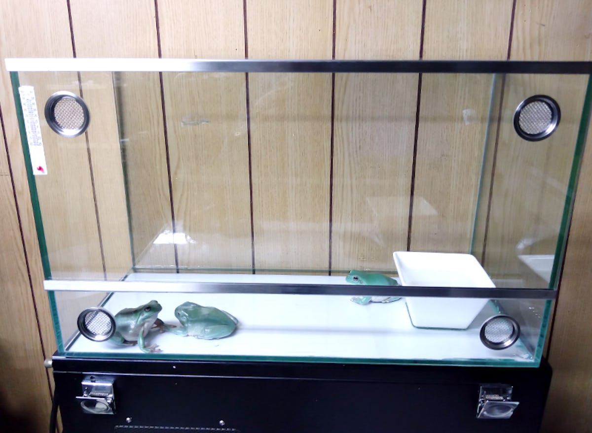 ガラス穴加工 穴あけ 加工価格 条件 オーダー お見積 ガラス穴加工 穴あけ 加工価格 条件 オーダー お見積