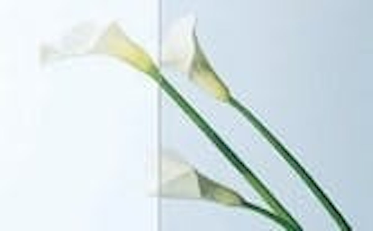 サンユーログレー