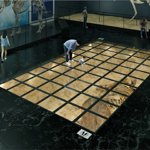 床用ガラス - 使用事例：博物館の床下展示に