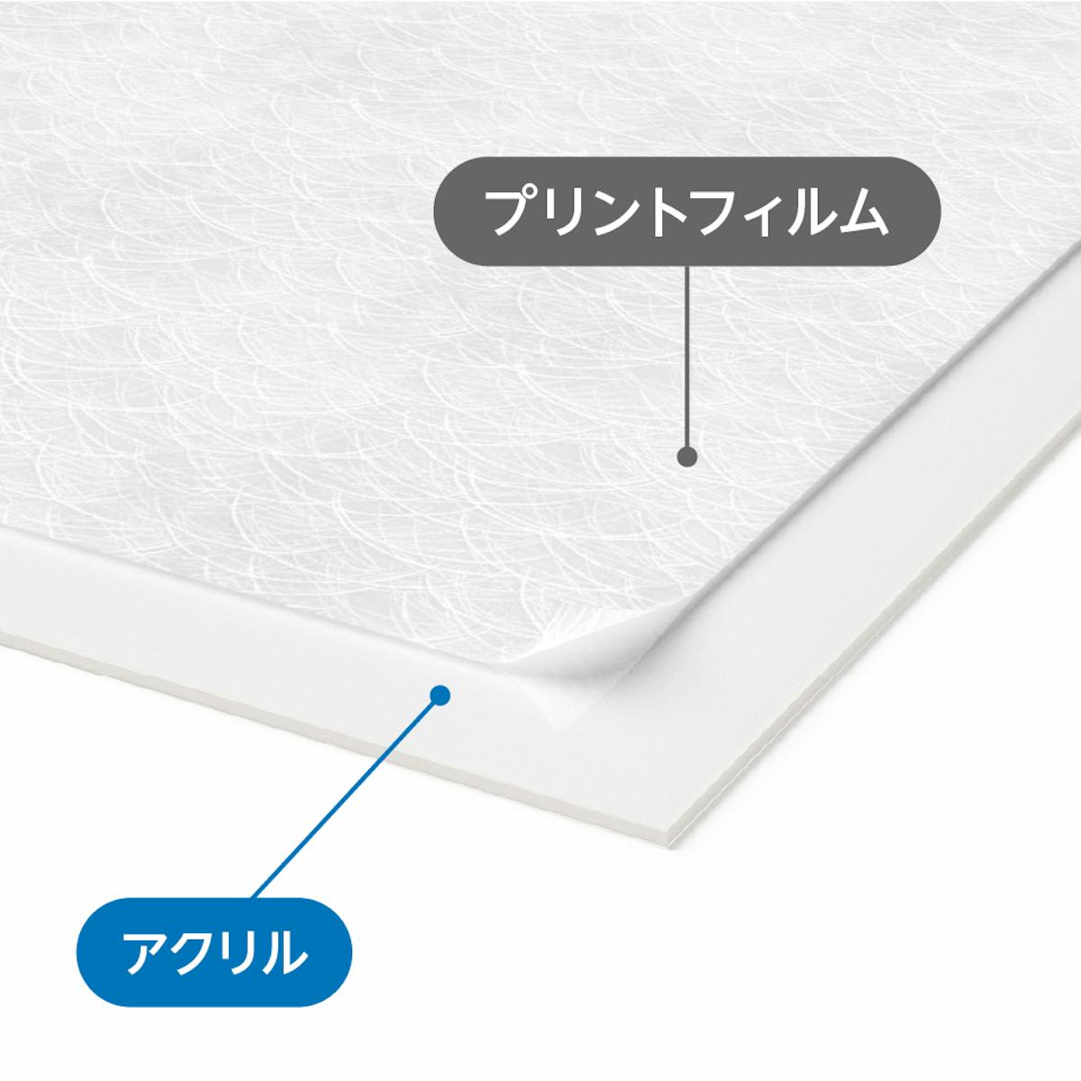 片面にプリントフィルムをラミネートしたアクリル板