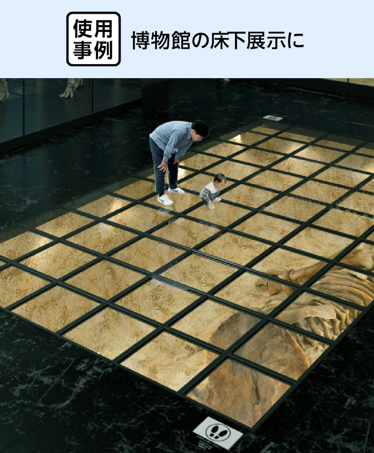 床用ガラス - 使用事例：博物館の床下展示に