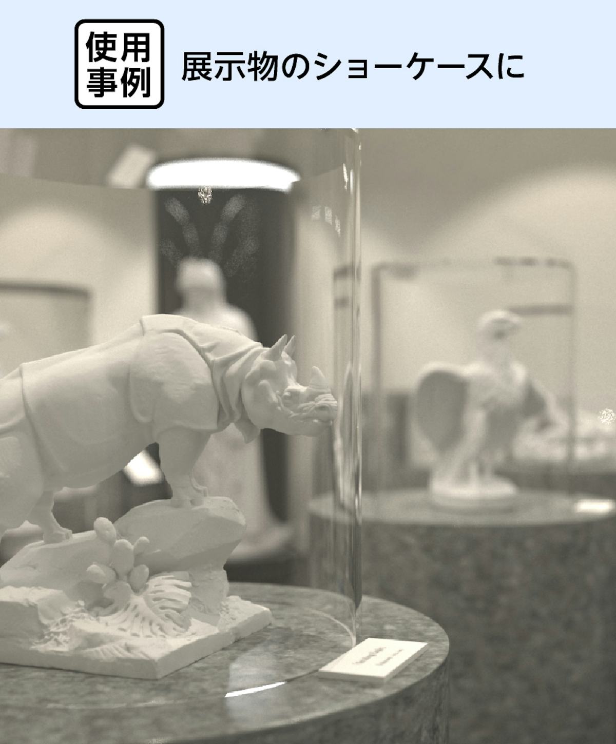 展示物のショーケースにアクリル円柱ケースを使用した事例